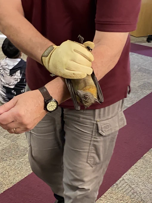 A person holding a bat upside down 