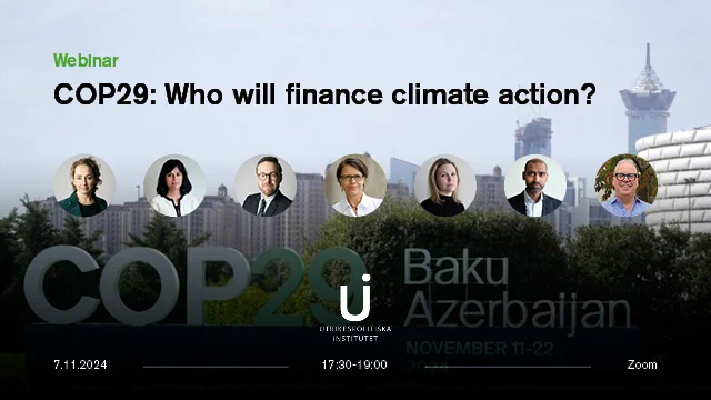 Webinar: COP29: Who will finance climate action?
