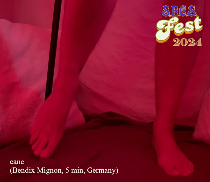 in a red room with red lighting we see a pair of legs, standing, while using a cane for support. cane is a 5 minute, German short film by Bendix Mignon. It is playing at erotic film festival SECS Fest 2024. 