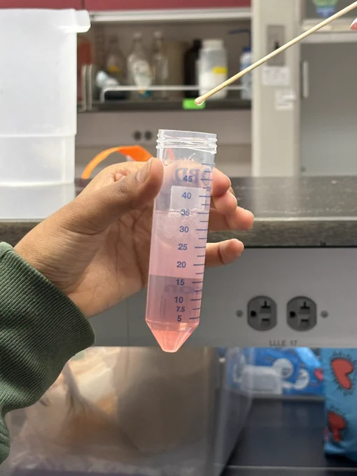 DNA 🧬