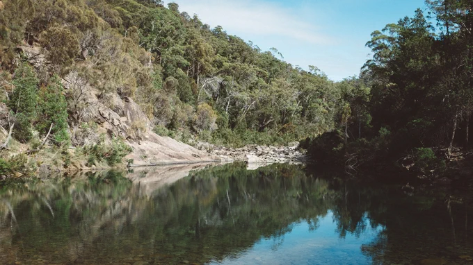 Lake surrounded by trees in Douglas Aspley National Park.