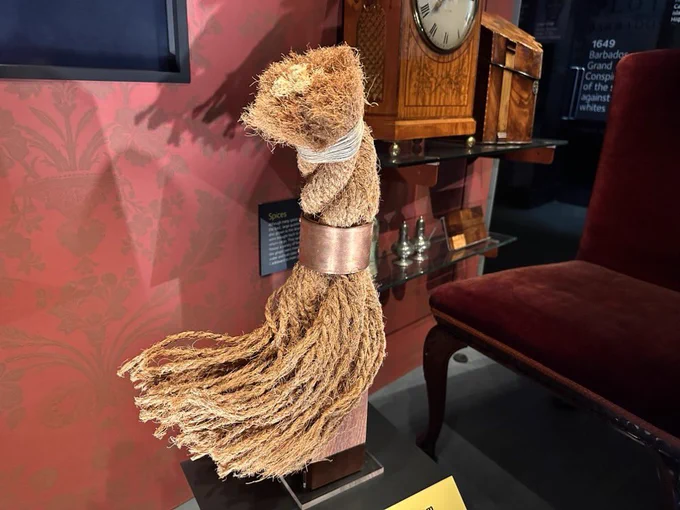 Rope sculpture in display case