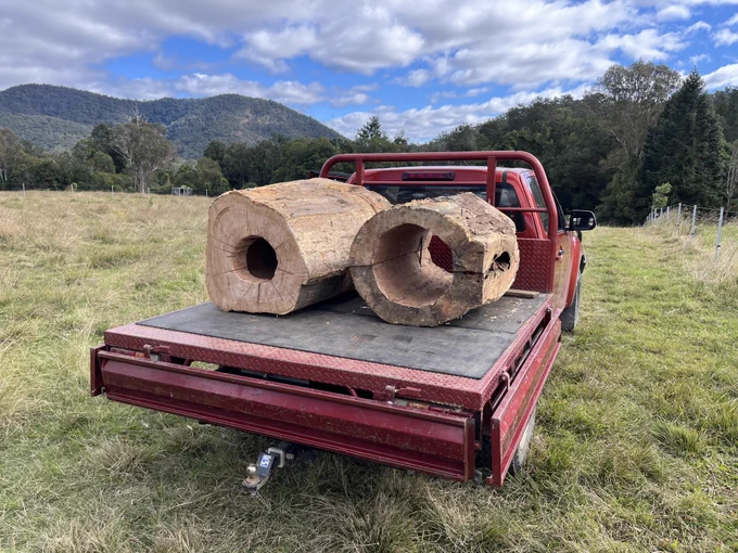 Two of the 'cod logs' before being deployed on the banks of the Mary River (Moonaboola) catchment. Image: Griffith University, Australian Rivers Institute. 