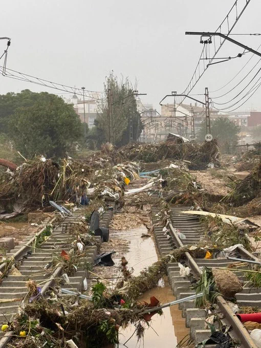 Railway tracks covered in vegetation and rubbish.