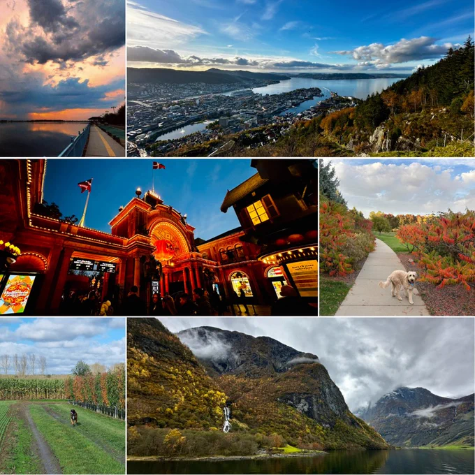 Collage of six diverse landscapes and locations including a sunset over a coastal area, an aerial view of a city, an ornate theater entrance at night, a dog walking on a path surrounded by colorful foliage, a vineyard, and a serene mountain lake.