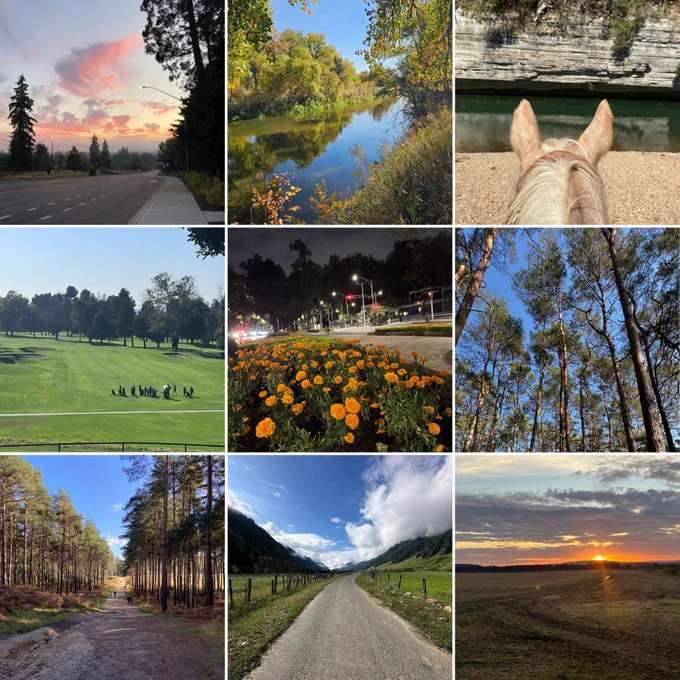 A collage of nine outdoor scenes featuring various landscapes: a sunset over a road, a calm river surrounded by foliage, person's view on horseback, a golf course, marigolds in bloom in a night scene with street lights, towering pine trees, a dirt road through a dense forest, a mountain path, and a sunset over an open field.
