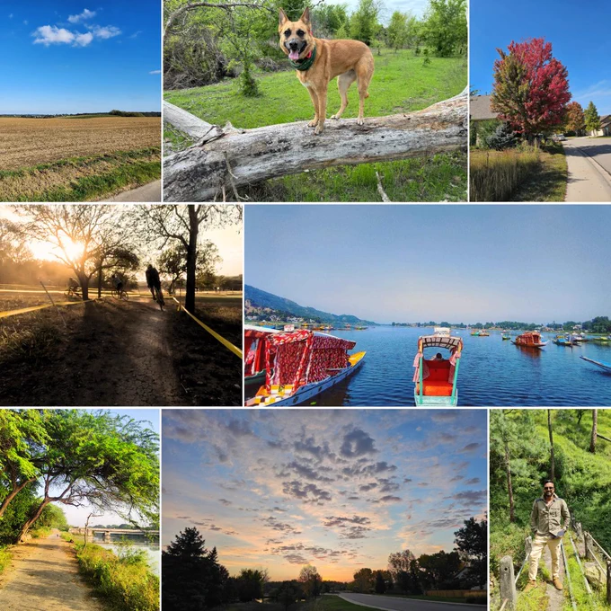 Collage of nine scenic images showcasing various landscapes and settings: fields, a dog on a log, tree-lined paths, sunset views, boats on the water, and an individual among the greenery.