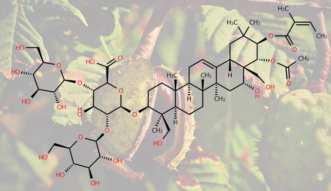 Beta-escin structure and autumnal horse chestnut fruits and leaves