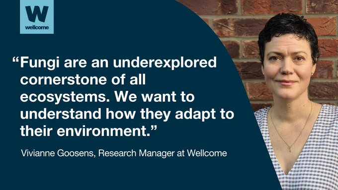 A quote card featuring Vivianne Goosens, Research Manager at the Wellcome Trust. The quote reads: "Fungi are an underexplored cornerstone of all ecosystems. We want to understand how they adapt to their environment."