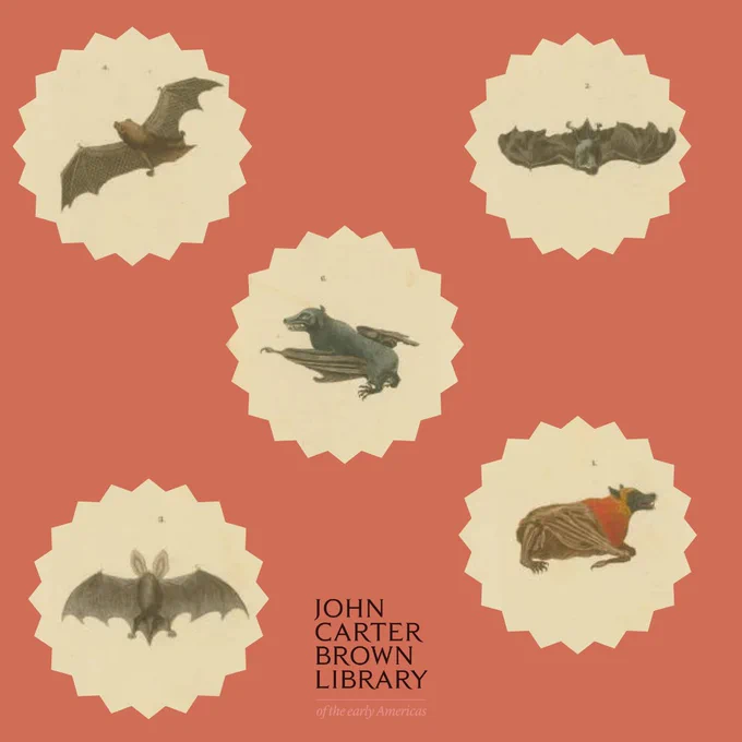 The image contains five drawings of bats and the JCB logo.