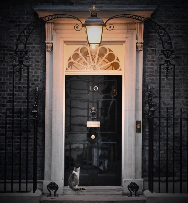 Larry sitting on doorstep of Number 10 waiting to be let in