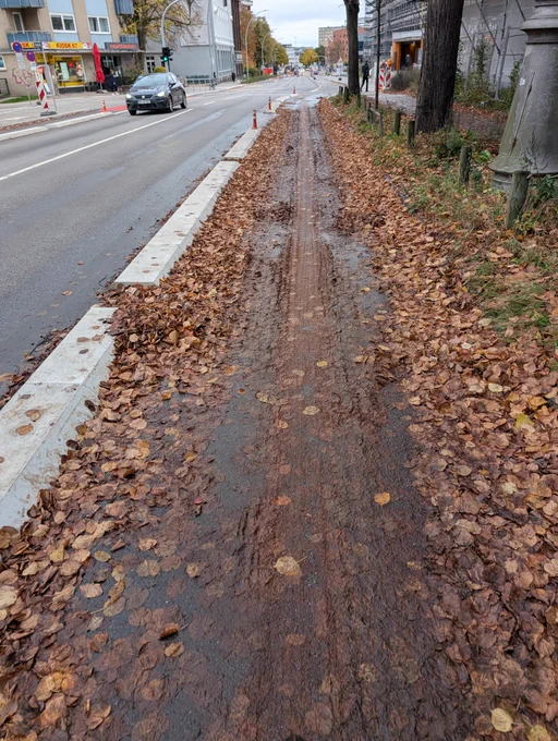 Laub auf dem neuen Radweg - und die Straße ist  einwandfrei sauber. Ich musste bremsen und bin weggerutscht, außer ein paar Schrammen ist nichts passiert, aber dieses Räumungsproblem habe ich jetzt schon an all den schönen neuen Radwegen extrem häufig gesehen. Wäre super, wenn sie hier einmal klären könnten. Danke!