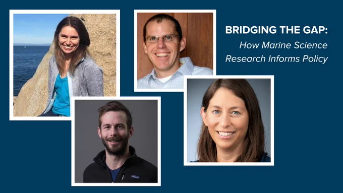 A graphic on a blue background shows four portraits: Marissa Baskett, a Professor in Environmental Science and Policy and Associate Director of Research Initiatives at the Coastal and Marine Sciences Institute, Jim Sanchirico, a Professor of Environmental Science and Policy, Karen Shapiro, a Professor of Infectious Diseases at @ucdavisvetmed, Matt Reimer, an Associate Professor in the Department of Agricultural and Resource Economics and the Department of Environmental Science and Policy. Beside them is the title of the piece: "Bridging the Gap: How Marine Science Research Informs Policy"