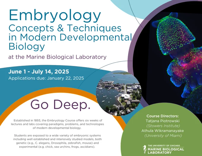 Embryology Advanced Research Training Course postcard