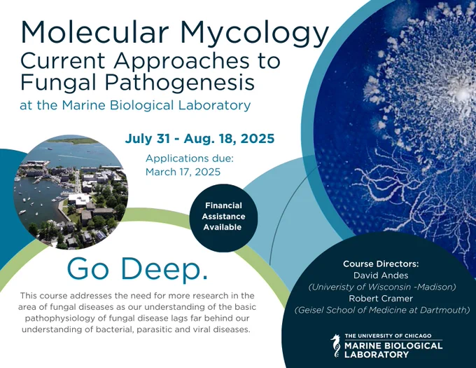 postcard advertising the molecular mycology advanced research training course at the MBL. go.mbl.edu/momy