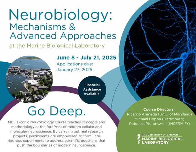 postcard for the neurobiology course at the MBL go.mbl.edu/neuro