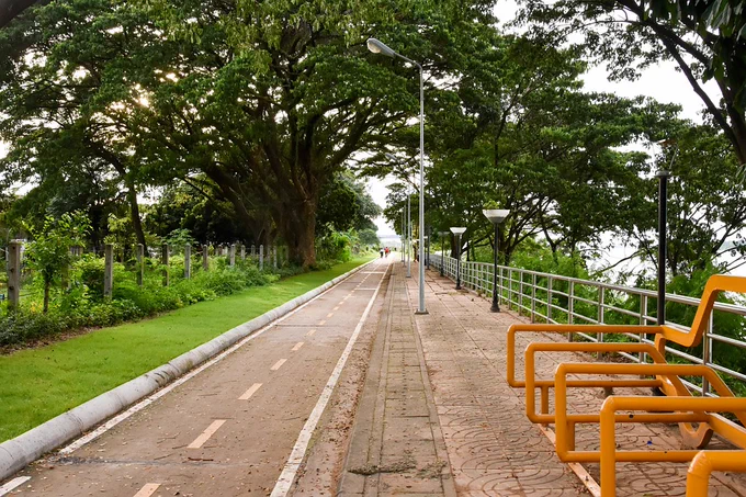 Photo of a bike lane. On the left is grass; on the right are a sidewalk, racks, and street lamps; above are tree leaves.