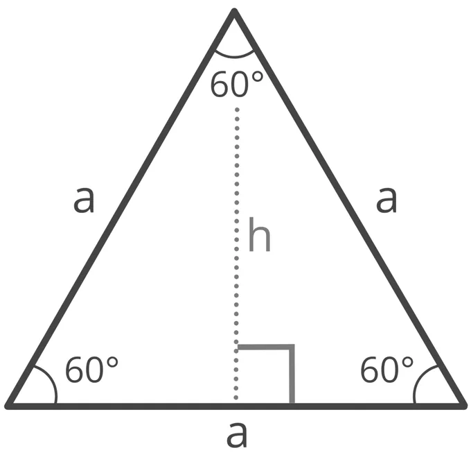 Equilateral triangle of edge length a. All its angles are equal to 60°. A height is also drawn from the top vertex onto the horizontal base. This splits the equilateral triangle into two congruent right triangles, where this height is a cathetus opposing a 60° angle.
