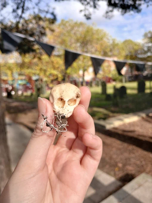 Hand holding a white mushroom which has 2 holes that resemble eyes and strands of mycellium coming from the bottom. The background is Warstone Lane Cemetery in the sun with black bunting