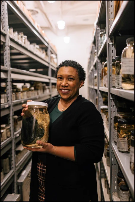 Kassandra Ford, Ph.D. Photo credit: Sarah Karnas, Bell Museum.
