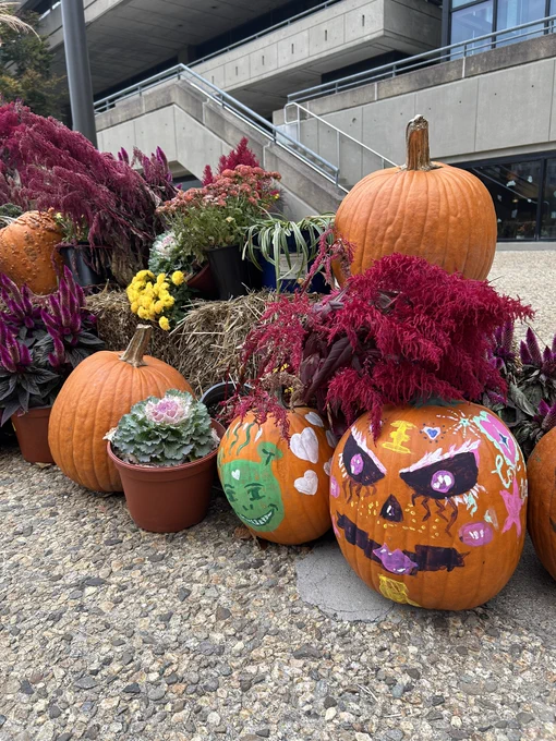 A vibrant display of various sized pumpkins, some painted with colorful faces, alongside potted plants and decorative flowers on outdoor steps of the MIT Student Center. 