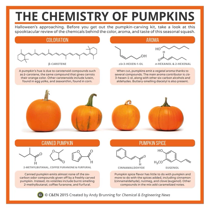 An infographic titled "The Chemistry of Pumpkins", exploring various chemical compounds that contribute to the pumpkin's colour, aroma, and flavour. Created by Andy Brunning for Chemical & Engineering News.