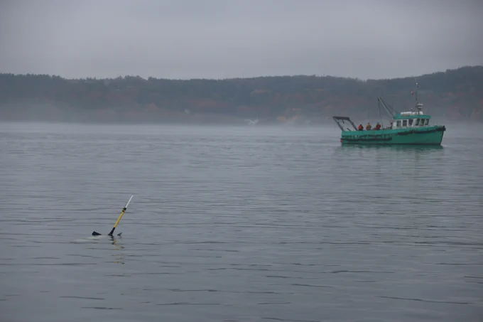 Un bateau vert sur le côté droit de l’image. La partie d’un planeur sous-marin qui sort de l’eau, sur le côté gauche de l’image. La forêt et de la brume se trouvent derrière, à la limite de la zone arborée.