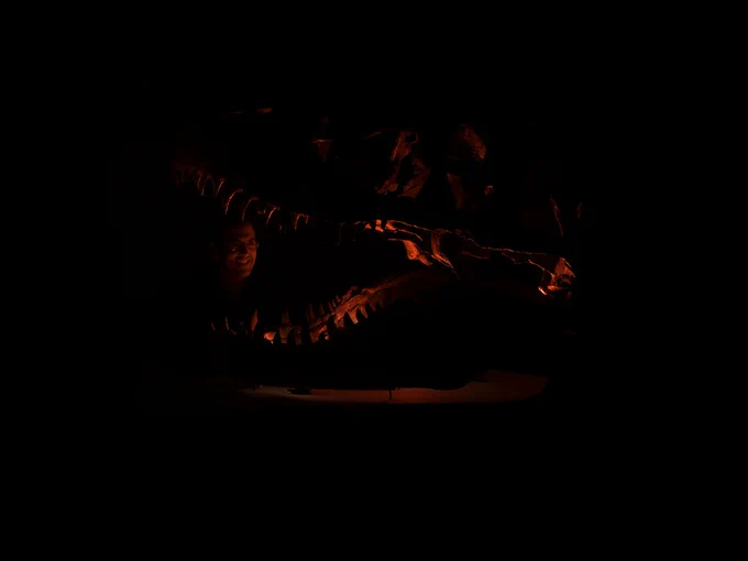 A T. rex skull lit up dramatically with orange light against a black background. A person's face is just visible between the jaws.