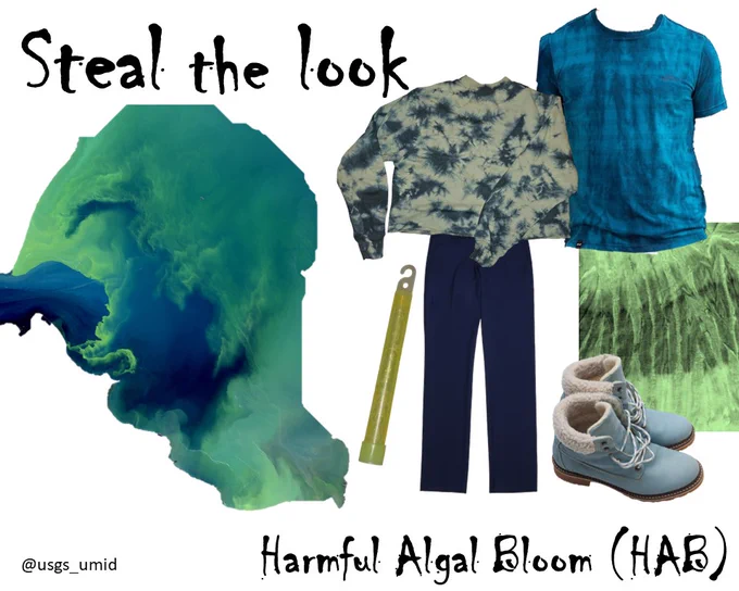 Harmful Algal Bloom (HAB) 🌊🦠: Transform into a vibrant, glowing algal bloom with green, blue and tie-dye fabric. Add a glow stick to mimic the eeriness of this bright neon phenomena. Learn more about USGS HABs research at https://www.usgs.gov/publications/interdisciplinary-science-approach-harmful-algal-blooms-habs-and-algal-toxins-a.