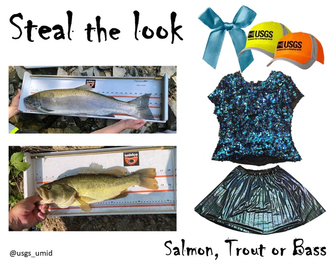 Salmon, trout or bass 💦🐟: Use bright, shimmering and sequin fabrics to mimic fish scales. Think blues, greens, and oranges! Add a pop of color with a bright USGS-logo hat and ribbon for fins and tail! Learn more about fish monitoring in Milwaukee, Wisconsin-area streams at https://www.usgs.gov/centers/upper-midwest-water-science-center/science/mmsd-watercourse-corridor-study-geomorphology.