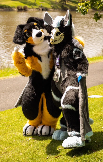 A Australian shepherd fullsuiter and a demon bat fullsuiter posing together for a fursuit maker family photo shoot