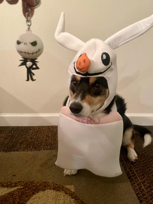 Xena as Zero from Nightmare Before Christmas