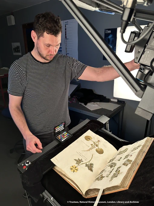 A staff member operating a piece of digitisation equipment which is cradling an open bound volume of botanical artwork , with a camera above.