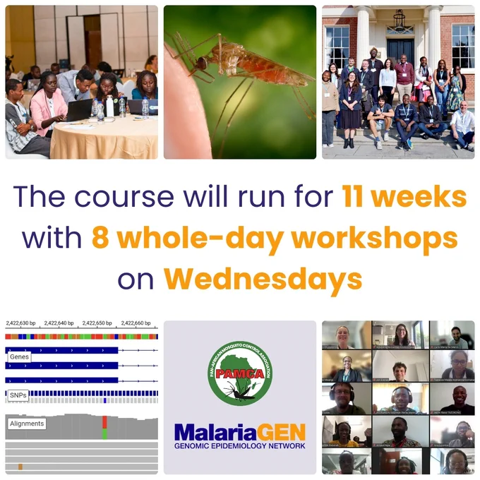 The course will run for 11 weeks with  whole-day workshops on Wednesdays