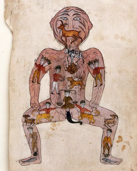 Alt text: Zodiac man is here pictured in a half-squat, with lovely coloured illustrations of the zodiacal signs all over his body. 

Credit: The zodiac man. Watercolour painting by a Persian artist.
Date: [between 1800 and 1899?] Reference: 582971i