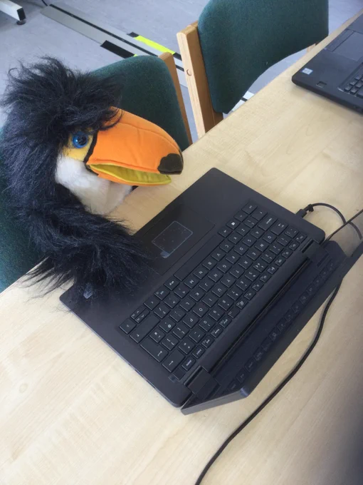 Library Mascot