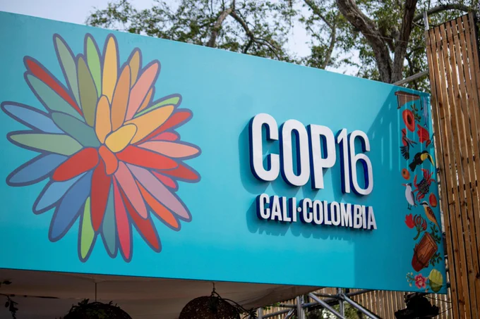 A large, light-blue sign with the COP16 Cali, Colombia logo on it with a multicolored flower on the left.