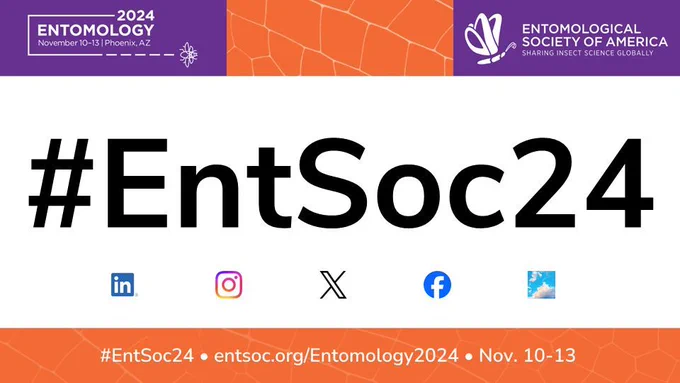 "#EntSoc24" In large black letters on a white background. Entomology 2024 conference logo in top left, and ESA logo in top right. Below the hashtag is a row of five small logos for LinkedIn, Instagram, X/Twitter, Facebook, and Bluesky. In an orange bar at the bottom, white text reads "#EntSoc24 - entsoc.org/Entomology2024 - Nov. 10-13"