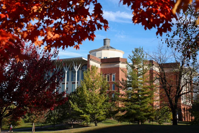 Autumn leaves framing a view of the William T. Young Library on a sunny day