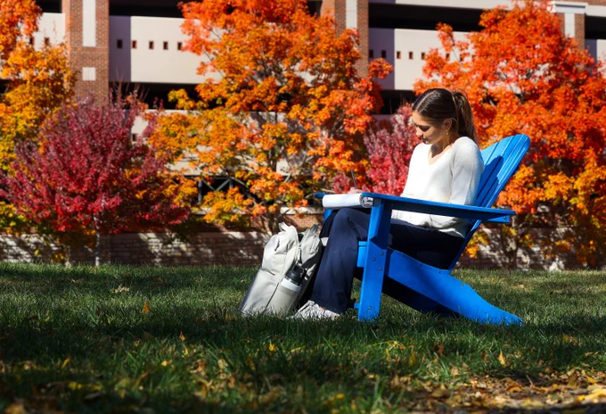 A person studying on a blue Adirondack chair amidst vibrant autumn foliage on a sunny campus lawn