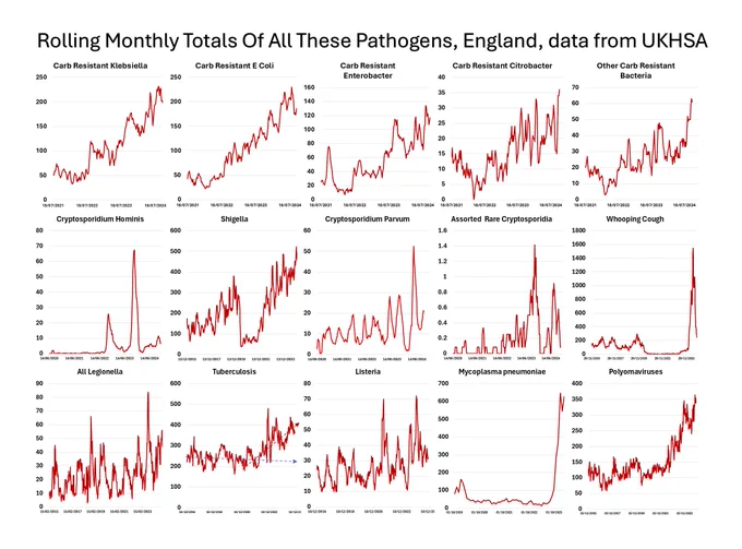Graphs showing the rise of:
Drug resistant Kleb, E Coli, Enterobacter, Citrobacter, Other
Crypto Hominis
Crypto Parvum
Rare Crypto
Shigella
Whooping Cough
Legionella
TB
Listeria
Mycoplasma pneumoniae
Polyomaviruses