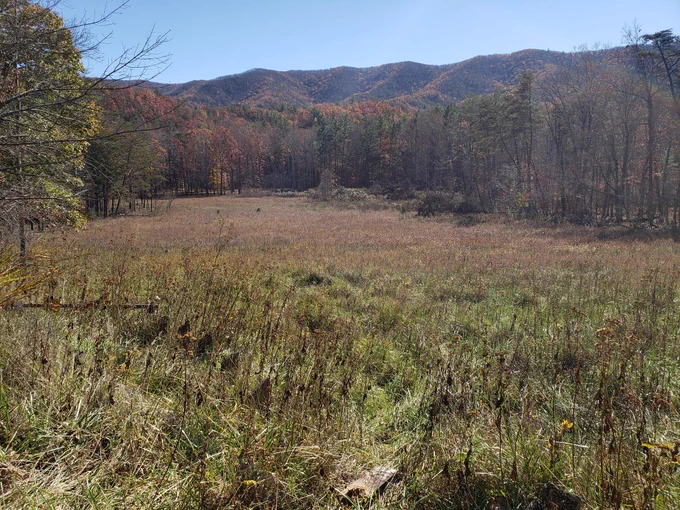 Caldwell Fields in Jefferson National Forest. 