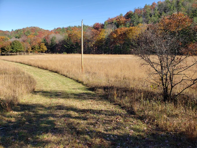 Caldwell Fields in Jefferson National Forest. 