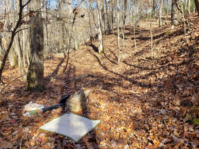 Forest along Joe Pye Trail in Jefferson National Forest. 