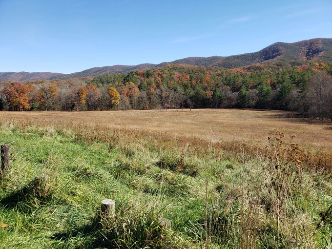 Caldwell Fields in Jefferson National Forest. 