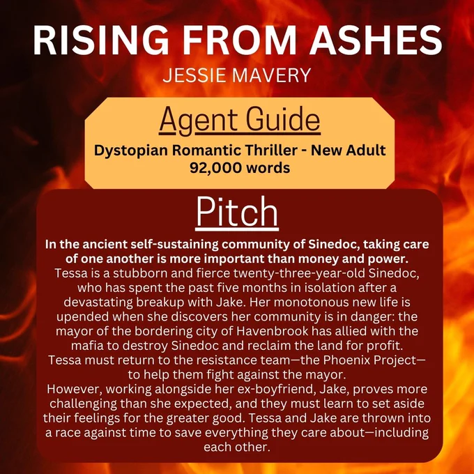 Agent guide photo with book details and pitch