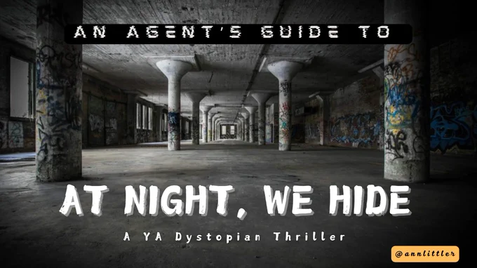 An agent’s guide to AT NIGHT WE HIDE, a YA dystopian thriller by Ann Littler