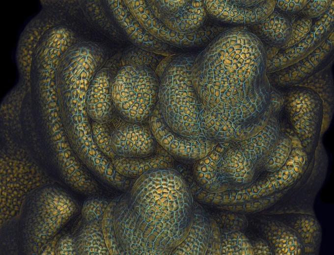 Microscopic photo of a plant - a yellow and blue organic form