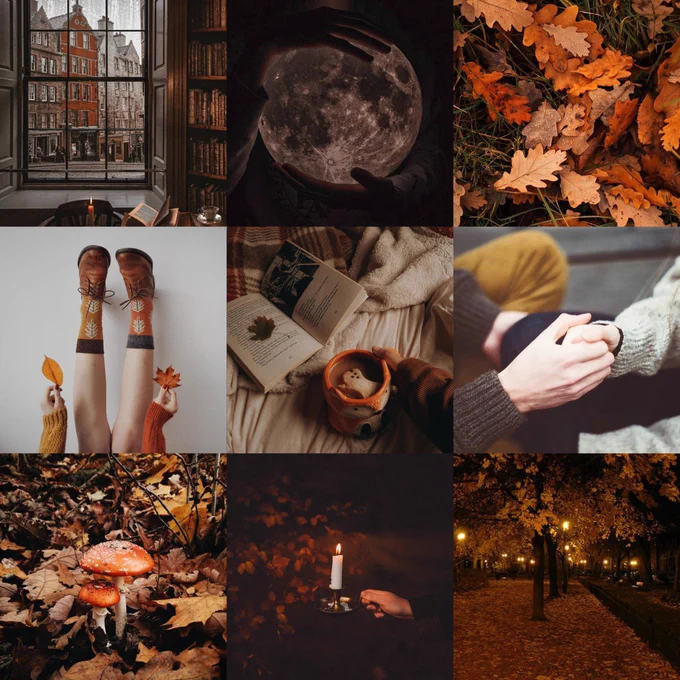 A nine square moodboard of @chantelpereira’s mg book. 

Top row, left to right; looking out at a charming old city through the window of a library; a person holding the moon; a bed of autumnal leaves.

Second row: a girl upside down against a white wall, with all that can be seen of her are her feet in boots and colourful Fall socks. She is holding two autumnal leaves; a mug of hot cocoa with a ghostly marshmallow, a book open next to it; two hands holding one another.

Bottom row: autumnal toadstools; a hand holding a lot candle; an autumnal path lit by lanterns in the dark.