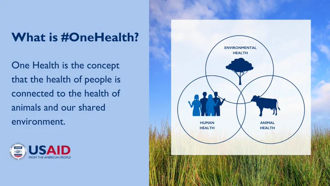 What is #OneHealth One Health is the concept that the health of people is connected to the health of animals and our shared environment 